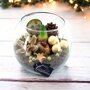 Amaryllis Kerstcreatie Wit (20cm) sfeer